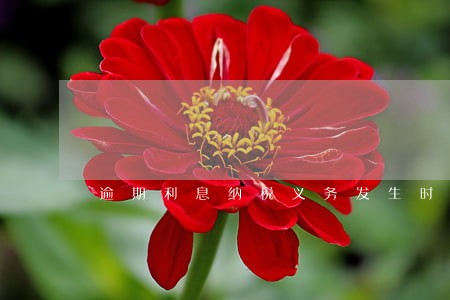 逾期利息纳税义务发生时间 逾期利息纳税义务发生时间
