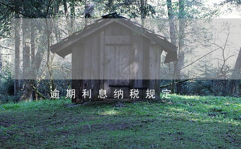 逾期利息纳税规定 逾期利息纳税规定