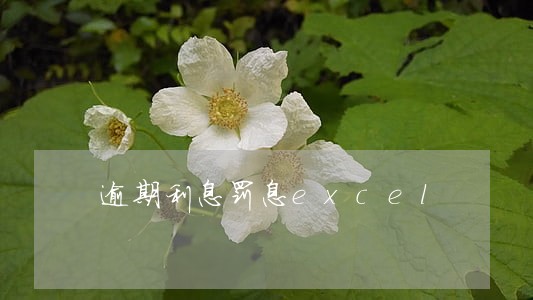 逾期利息罚息excel