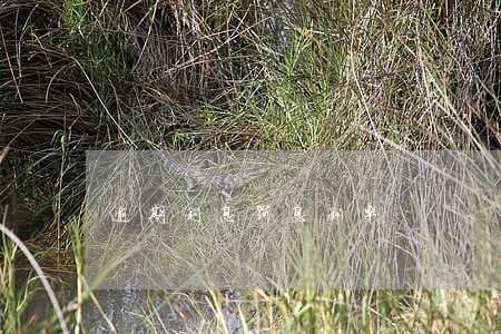 逾期利息罚息利率 逾期利息罚息利率