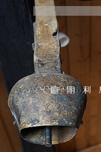 逾期利息罚息合法吗