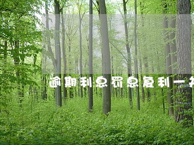 逾期利息罚息复利一并主张 逾期利息罚息复利一并主张