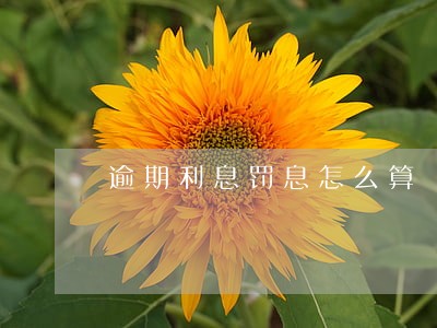 逾期利息罚息怎么算
