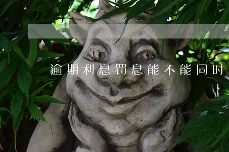 逾期利息罚息能不能同时主张 逾期利息罚息能不能同时主张