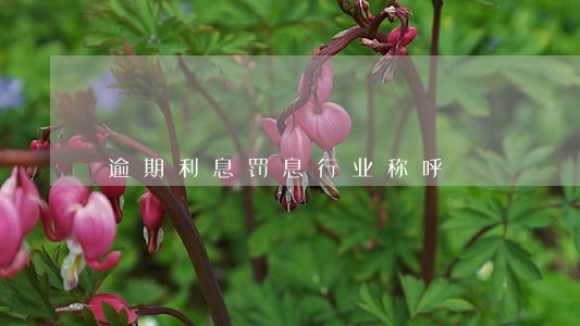 逾期利息罚息行业称呼 逾期利息罚息行业称呼