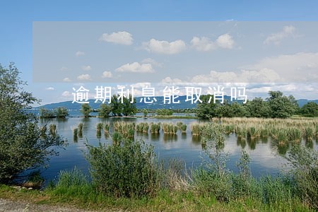逾期利息能取消吗