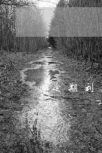 逾期利息能否税前扣除 逾期利息能否税前扣除