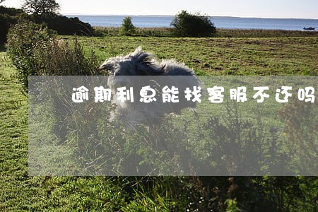 逾期利息能找客服不还吗 逾期利息能找客服不还吗
