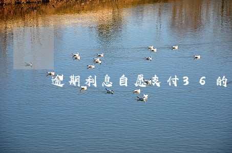 逾期利息自愿支付36的利息 逾期利息自愿支付36的利息