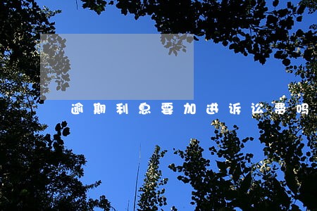 逾期利息要加进诉讼费吗 逾期利息要加进诉讼费吗