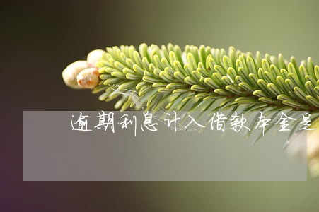 逾期利息计入借款本金是否合法 逾期利息计入借款本金是否合法