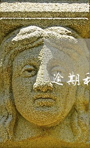 逾期利息计入其他应付款 逾期利息计入其他应付款