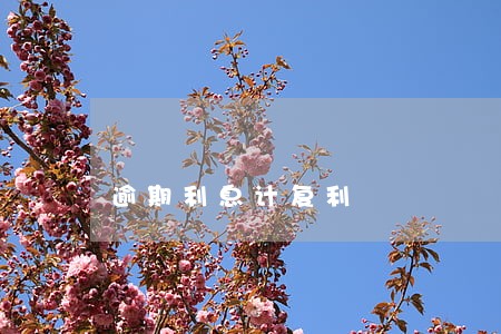逾期利息计复利 逾期利息计复利
