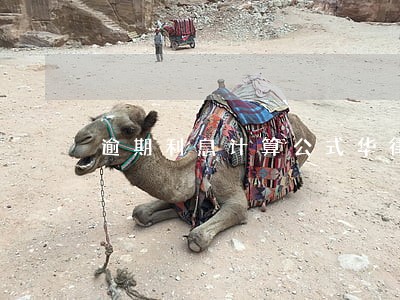 逾期利息计算公式华律 逾期利息计算公式华律