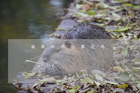 逾期利息计算区间 逾期利息计算区间