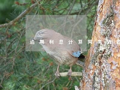 逾期利息计算同类贷款利率 逾期利息计算同类贷款利率