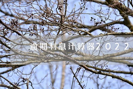 逾期利息计算器2022最新 逾期利息计算器2022最新