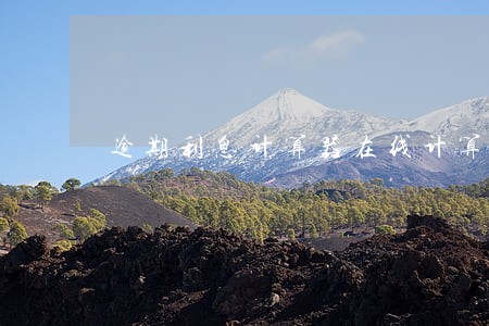 逾期利息计算器在线计算 逾期利息计算器在线计算