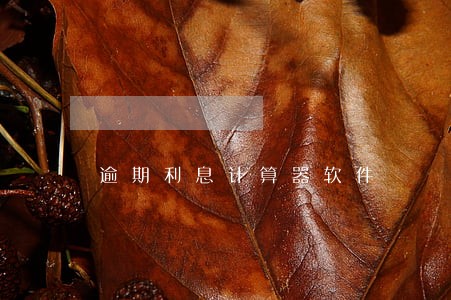 逾期利息计算器软件 逾期利息计算器软件