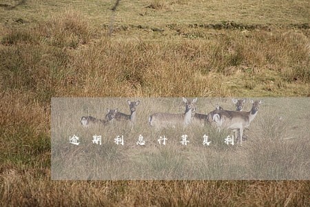 逾期利息计算复利 逾期利息计算复利