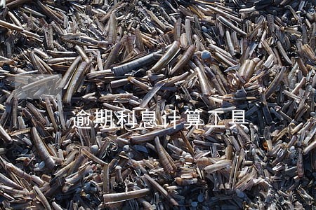 逾期利息计算工具 逾期利息计算工具