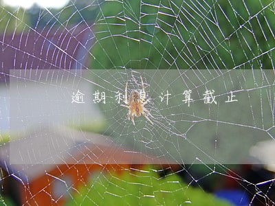 逾期利息计算截止 逾期利息计算截止