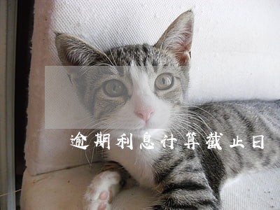 逾期利息计算截止日