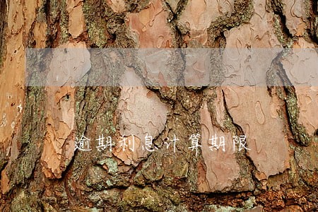 逾期利息计算期限 逾期利息计算期限