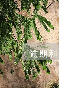 逾期利息计算步骤 逾期利息计算步骤