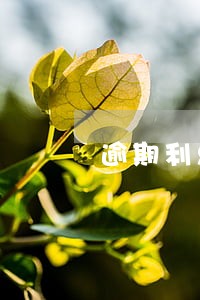 逾期利息计算的基数 逾期利息计算的基数