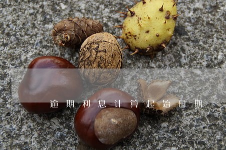 逾期利息计算起始日期