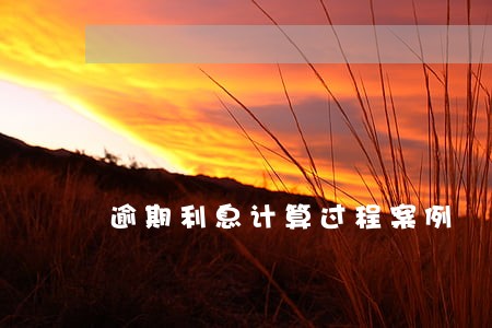 逾期利息计算过程案例 逾期利息计算过程案例