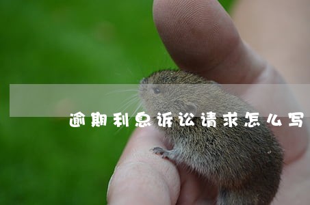逾期利息诉讼请求怎么写