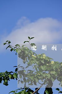 逾期利息费 逾期利息费