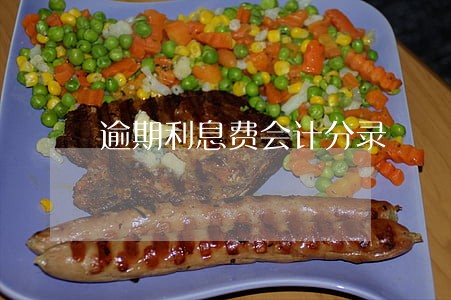 逾期利息费会计分录