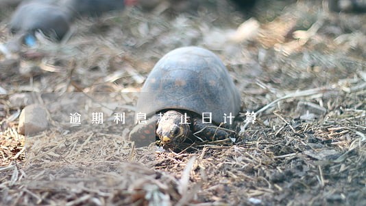 逾期利息起止日计算 逾期利息起止日计算