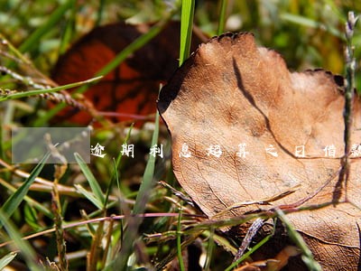 逾期利息起算之日借款期限