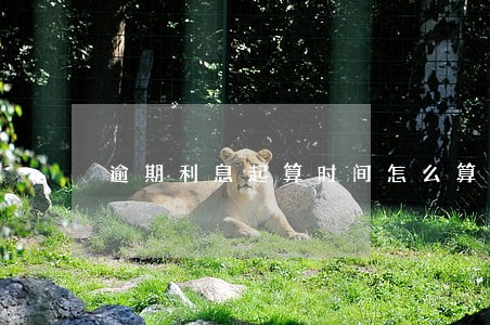 逾期利息起算时间怎么算 逾期利息起算时间怎么算
