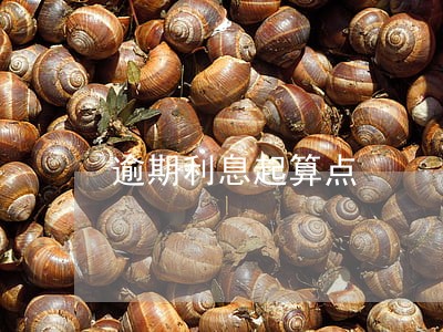 逾期利息起算点 逾期利息起算点