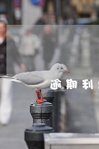 逾期利息起算点含到期日嘛 逾期利息起算点含到期日嘛