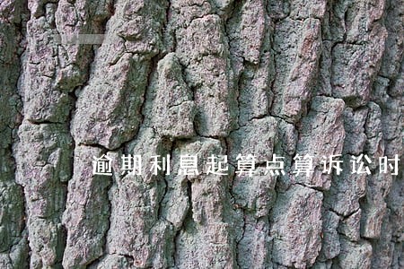 逾期利息起算点算诉讼时效