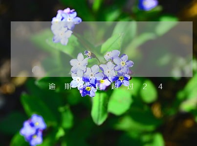 逾期利息超过24 逾期利息超过24