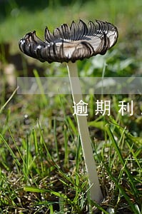逾期利息超过了年利息 逾期利息超过了年利息