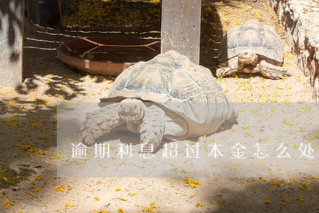 逾期利息超过本金怎么处理 逾期利息超过本金怎么处理