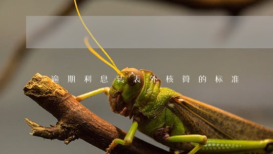 逾期利息转表外核算的标准 逾期利息转表外核算的标准