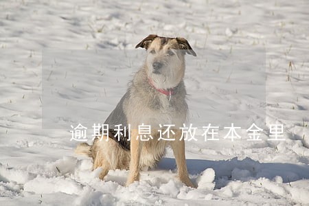 逾期利息还放在本金里