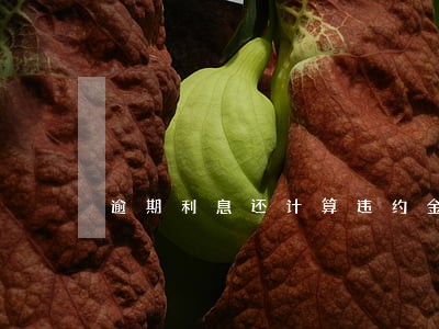 逾期利息还计算违约金