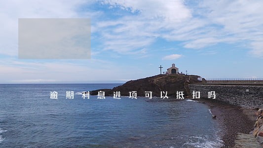 逾期利息进项可以抵扣吗 逾期利息进项可以抵扣吗
