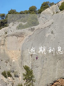 逾期利息违约金减免 逾期利息违约金减免