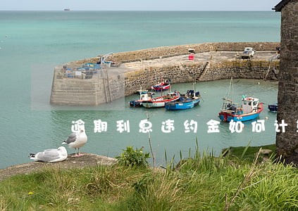 逾期利息违约金如何计算